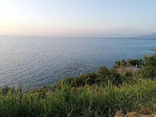 I Baronetti In Centro Bed & Breakfast Agropoli Bagian luar foto